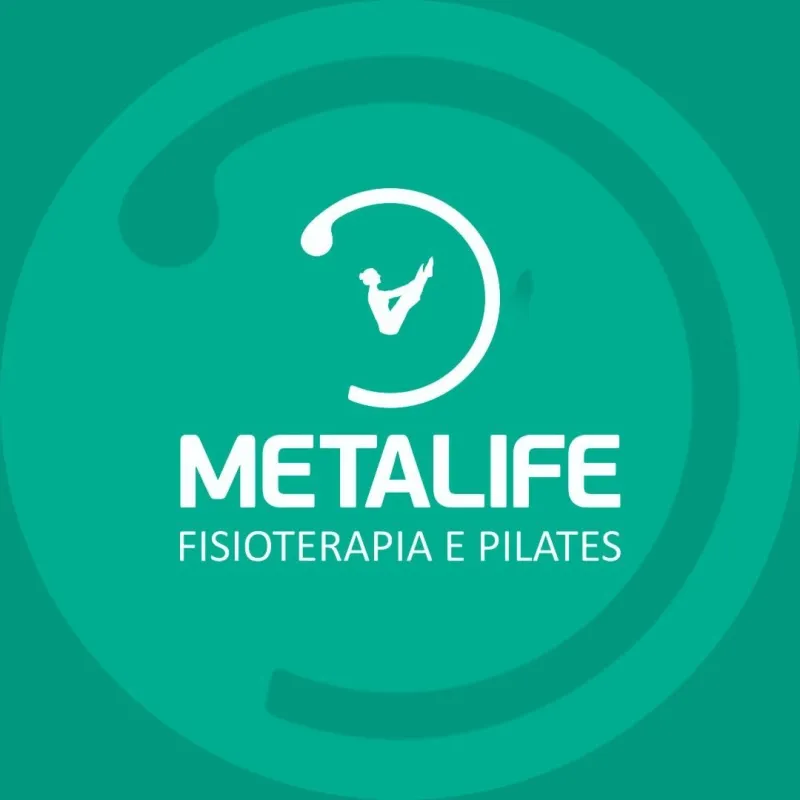 Logo Metalife