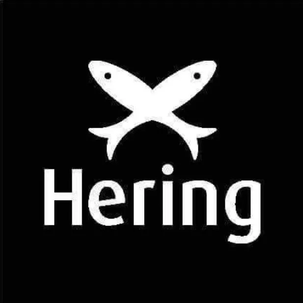 Logo Hering Store